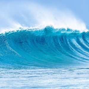 Ocean Mist Hand Poured Soy (6.5oz) Candle